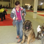 leonberger Sedmidomky