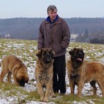 leonberger sedmidomky