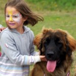 leonberger