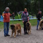 leonberger Sedmidomky