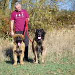 leonberger Sedmidomky