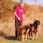 leonberger Sedmidomky