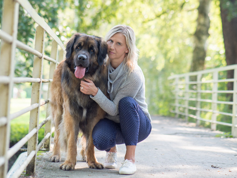 leonberger